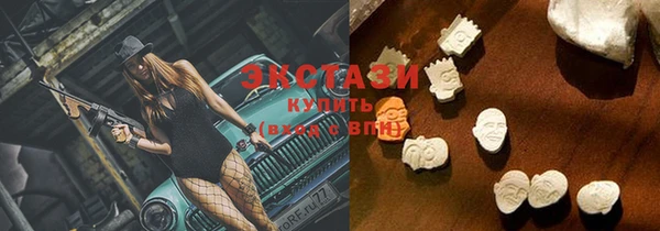 прущие грибы Новозыбков