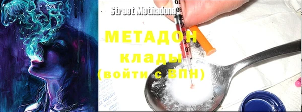 прущие грибы Новозыбков