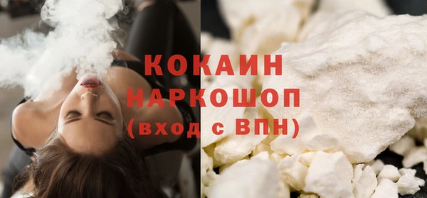 прущие грибы Новозыбков