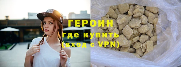 прущие грибы Новозыбков