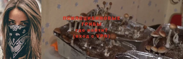 а пвп мука Новодвинск