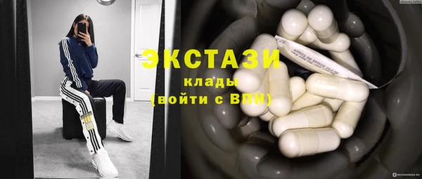 прущие грибы Новозыбков