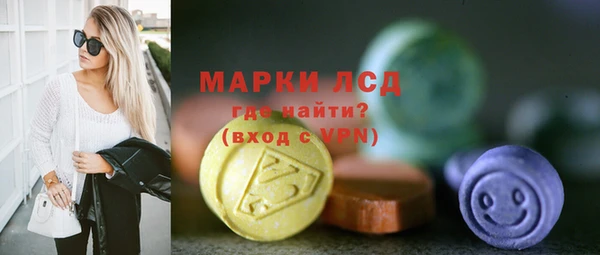 прущие грибы Новозыбков