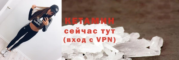 прущие грибы Новозыбков