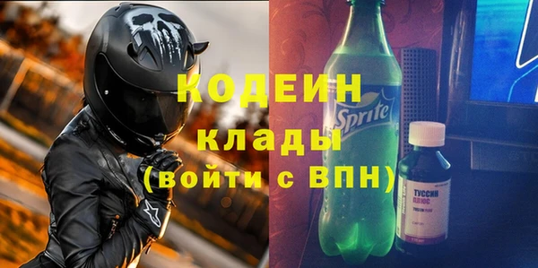 прущие грибы Новозыбков