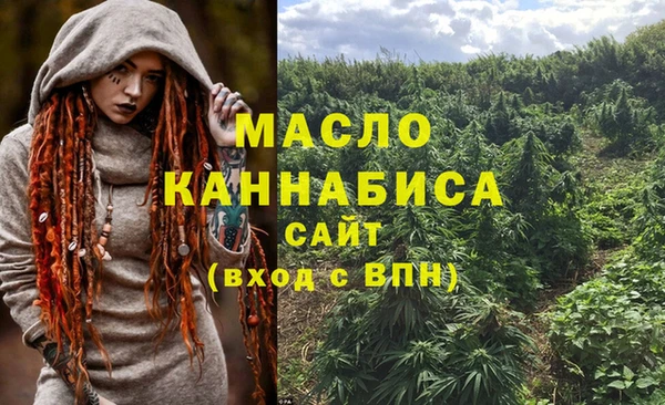 прущие грибы Новозыбков