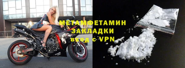 прущие грибы Новозыбков