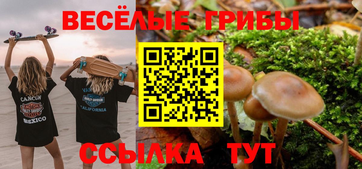 Галлюциногенные грибы Psilocybine cubensis  Вход с VPN  Нарткала 